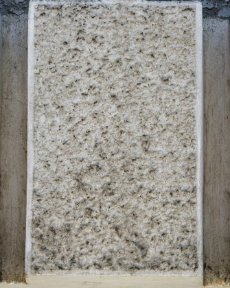 stone element texture 2k