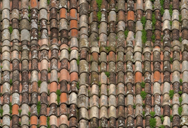 roof shingles wathered texture 3,7k