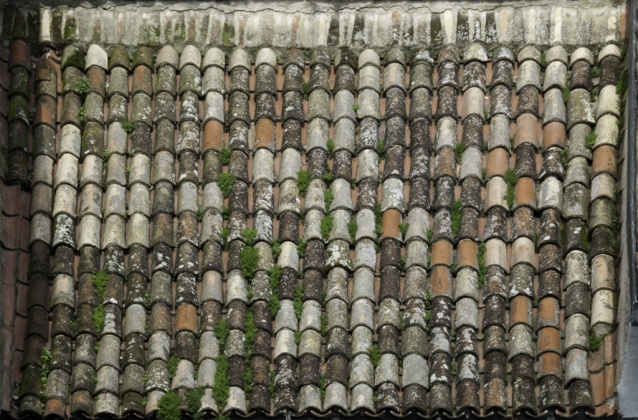 OpenfootageNETRoofShingels_03