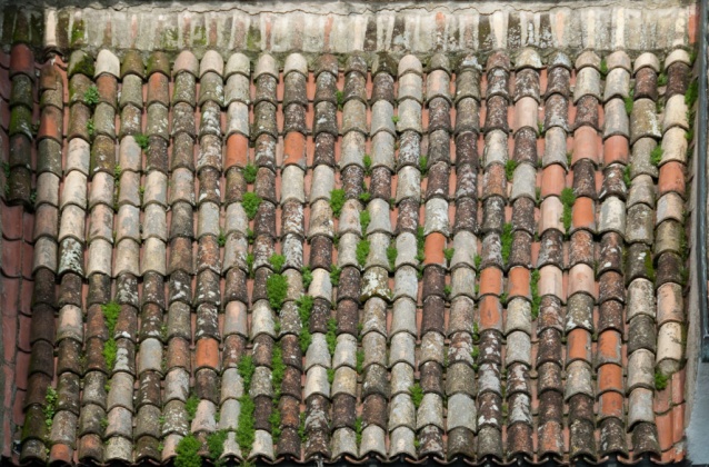 roof shingles old with gras 3,7k