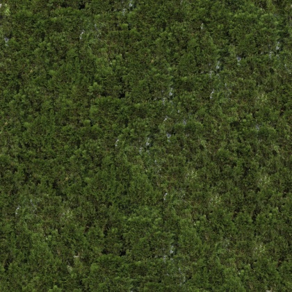 OpenfootageNETVinesII_01