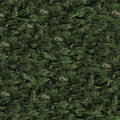 OpenfootageNETVinesII_04