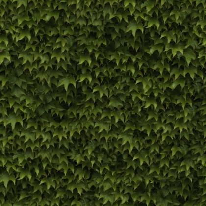 OpenfootageNETVinesII_06