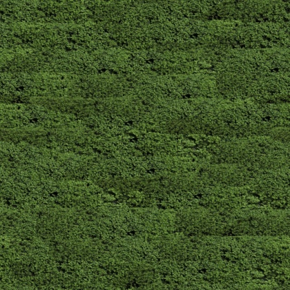 OpenfootageNETVinesII_08