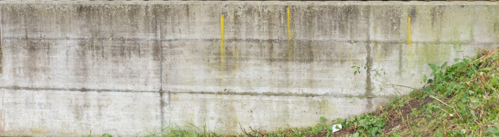 OpenfootageNET_Texture_concrete_weathered 7577 × 2088