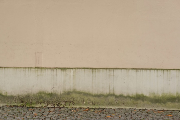 OpenfootageNET_Texture_mossy_plinth area3 7360 × 4912