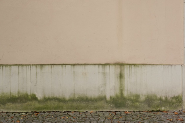 OpenfootageNET_Texture_mossy_plinth area4 7360 × 4912