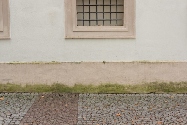 OpenfootageNET_Texture_mossy_plinth area5 7360 × 4912