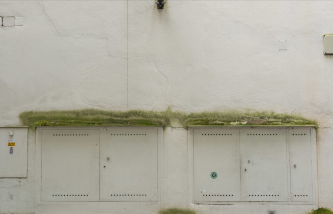 OpenfootageNET_Texture_mossy_wall2 7329 × 4702