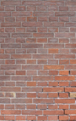 Texture_facing_brickwork