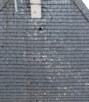 OpenfootageNET_Textures_roof