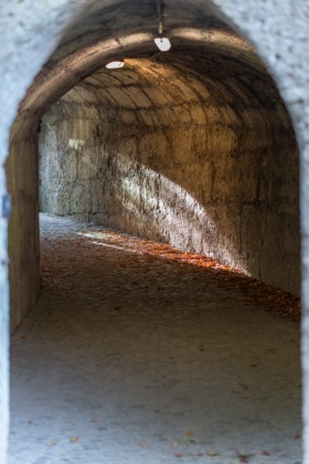 OpenfootageNET_reference_passage_old