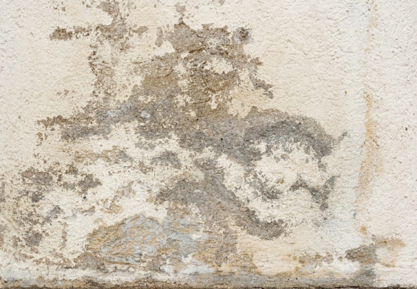 OpenfootageNET_texture_brokenplaster_7k_01