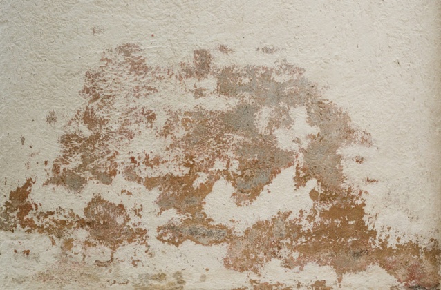 OpenfootageNET_texture_brokenplaster_7k_02