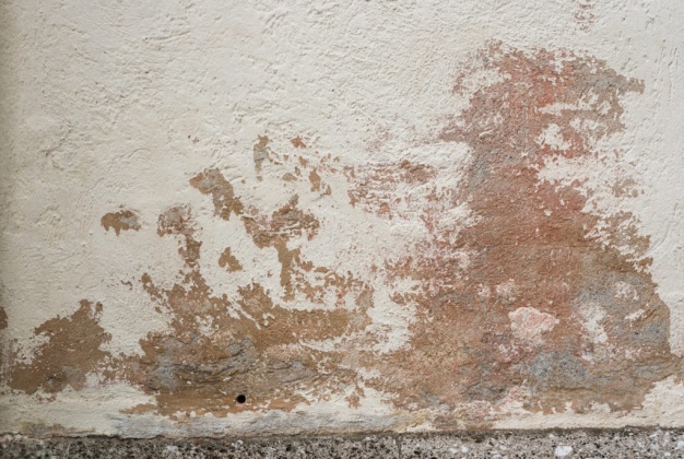 OpenfootageNET_texture_brokenplaster_7k_03