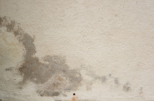 OpenfootageNET_texture_brokenplaster_7k_04