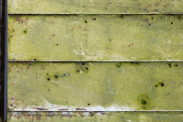 OpenfootageNET_texture_sheet metal web_greenmoss_7k