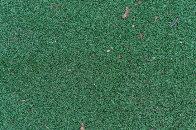 OpenfootageNET_textures_artificial grass