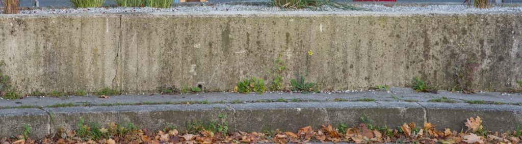 OpenfootageNET_textures_old_concrete_weathered05