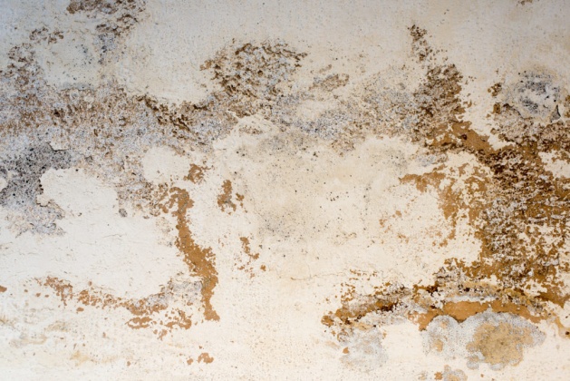 OpenfootageNET_textures_old_roughcast_02