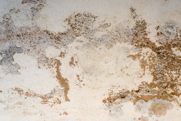 OpenfootageNET_textures_old_roughcast_03