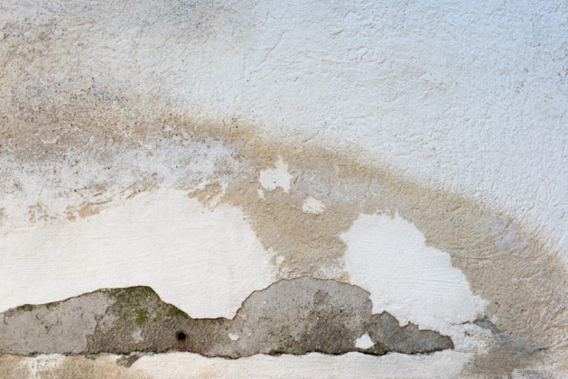 OpenfootageNET_textures_old_roughcast_04