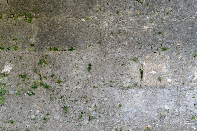 OpenfootageNET_textures_old_stonewall2 7360 × 4912