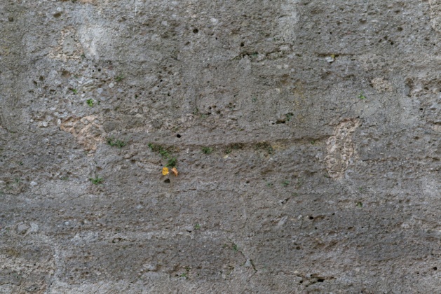 OpenfootageNET_textures_oldwall2 7360 × 4912