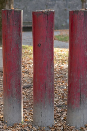 OpenfootageNET_textures_wood_rods_weathered 4912 × 7360
