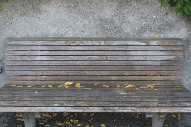 OpenfootageNET_textures_woodbench