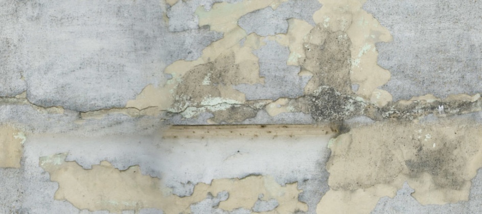 OpenfootageNETdirty6 copy