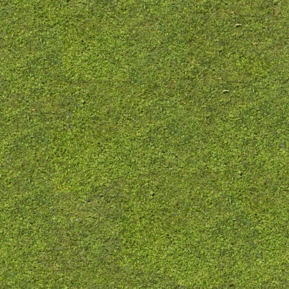 grass ground texture tileable 2k