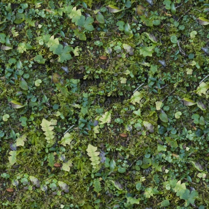 grass moss forrest ground texture 2k tileable