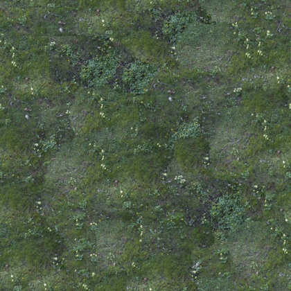 grass moss forrest ground texture 2k tileable