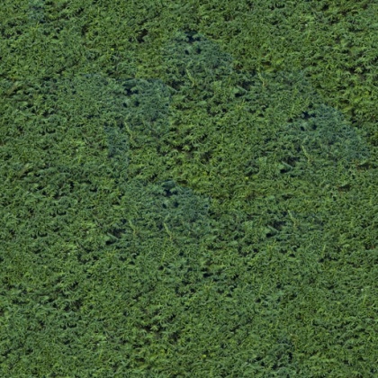 hedge texture tileable