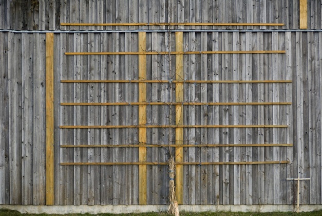 oldwood facade texture 3,8k