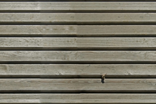 oldwood texture 3.8k