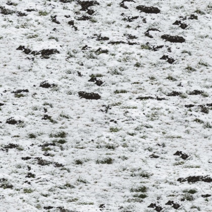 OpenfootageNETsnow1 copy