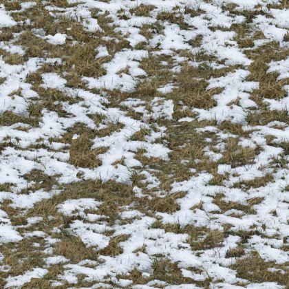 OpenfootageNETsnow2 copy