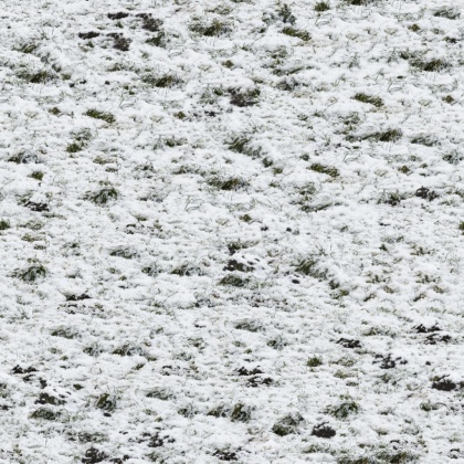 OpenfootageNETsnow5 copy