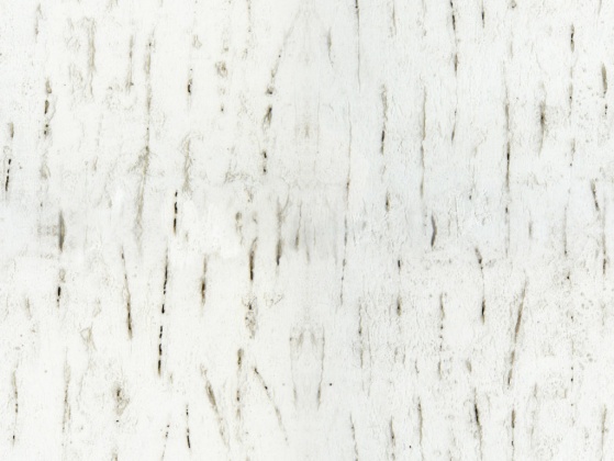 OpenfootageNETwallsIII01 copy