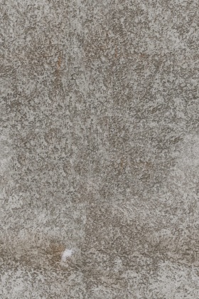 OpenfootageNETwallsIII08 copy