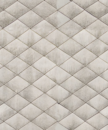 weathered roof shingle