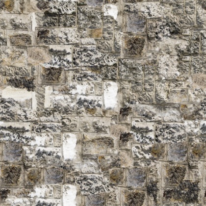 OpenfootageNEtstonewall_1 copy