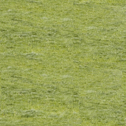 grass3 copy