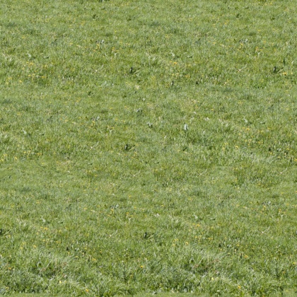 grass4 copy