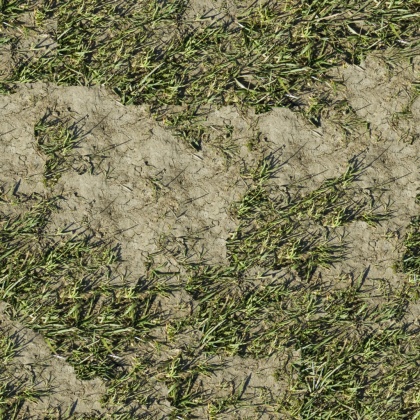 driet out ground grass texture tileable 2k