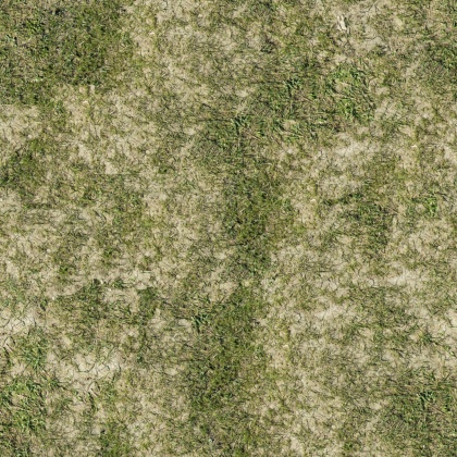 driet out ground grass texture tileable 2k
