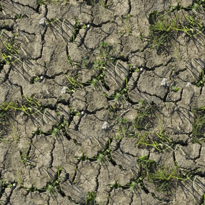 driet out ground texture tileable 2k