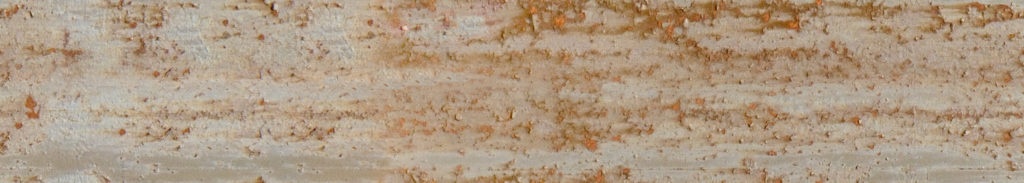 openfootageNETrust12